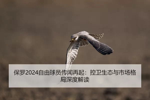 bao-luo-zi-you-qiu-yuan-chuan-wen-zai-qi-kong-wei-sheng-tai-yu-shi-chang-ge-ju-shen-du-jie-du-2-132.jpg